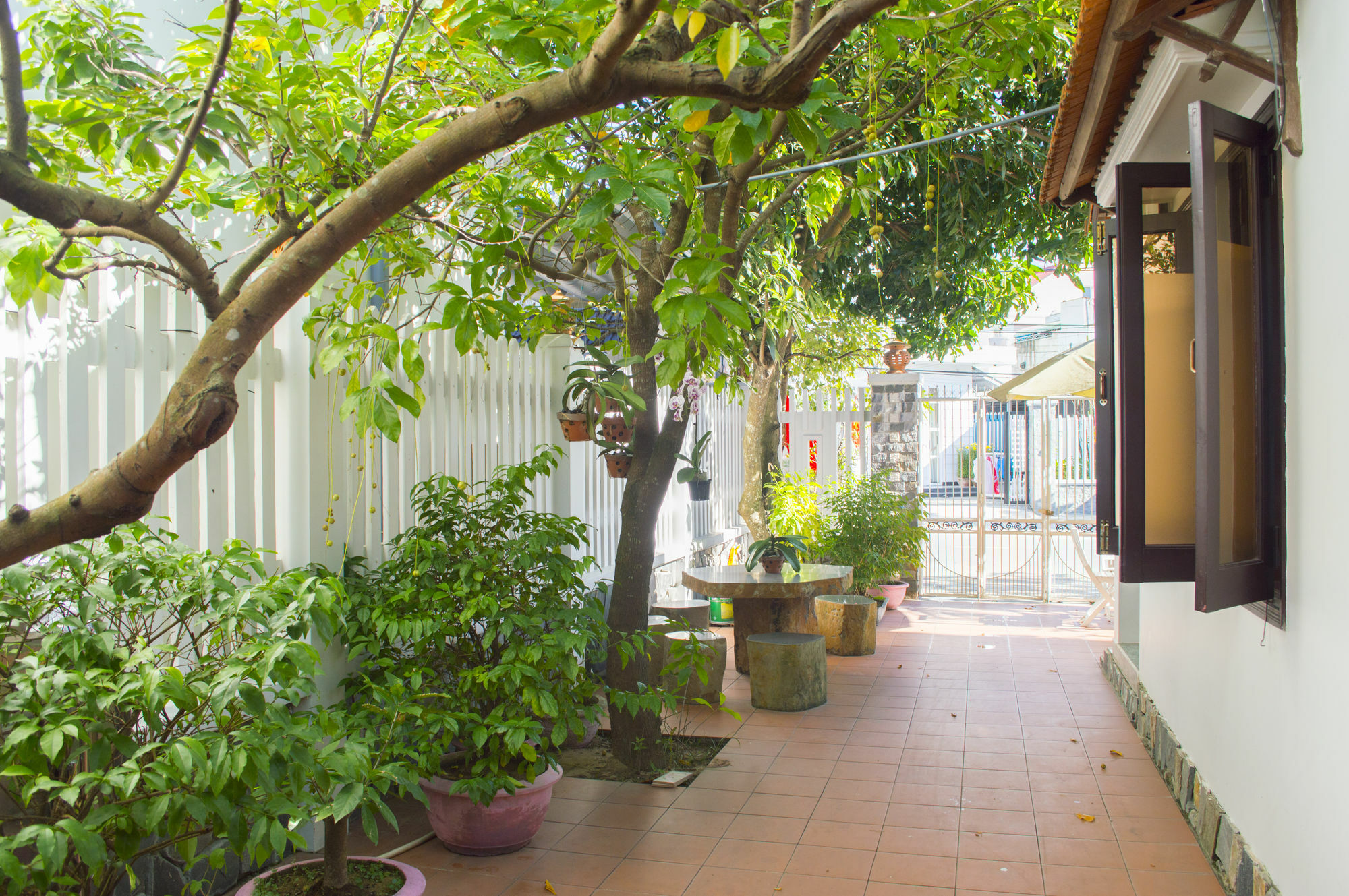 Halo Homestay Hoi An Eksteriør bilde