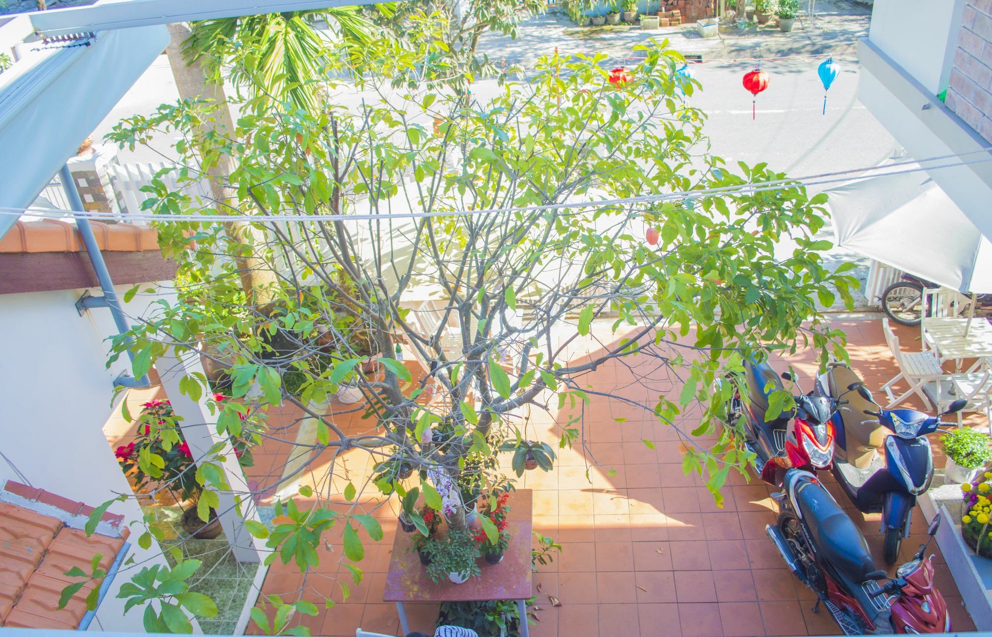 Halo Homestay Hoi An Eksteriør bilde